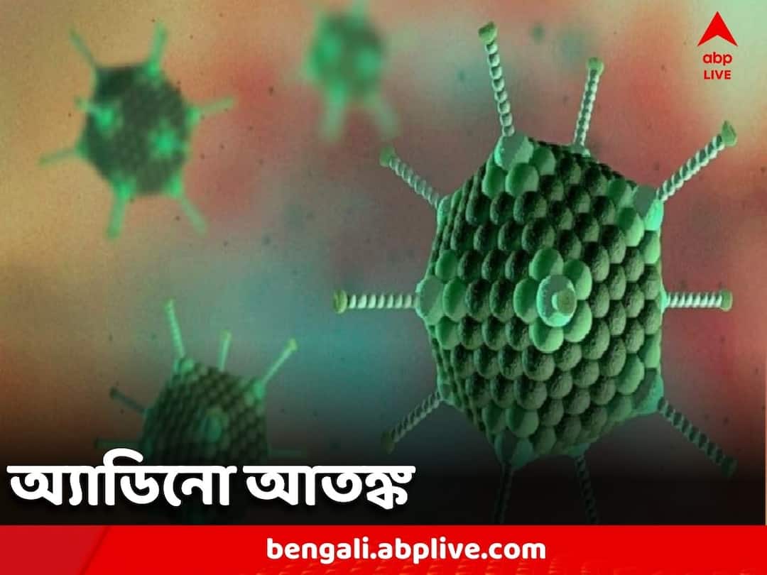 Kolkata Adenoviruses creating havoc as hospitals running out of beds Adenoviruses: অ্যাডিনো ঘিরে আতঙ্ক, শিশুরোগীতে ভর্তি হাসপাতাল, নেই পর্যাপ্ত শয্যা!