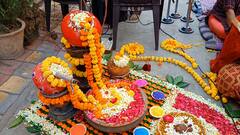 Holi 2023: રાજપીપળામાં વૈષ્ણવ સમાજે ઉજવી અનોખી હોળી, રસિયામાં લીન થયા પુષ્ટિમાર્ગીય અનુયાયીઓ