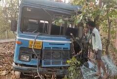 Gadchiroli ST Bus Accident : गडचिरोली : एसटी बसची झाडाला धडक; 10 शालेय विद्यार्थ्यांसह 22 जण जखमी