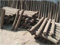 हाथरस में अब गोबर से बनी 'लकड़ियों' से होगा होलिका दहन, प्रशासन कर रहा है खास तैयारी