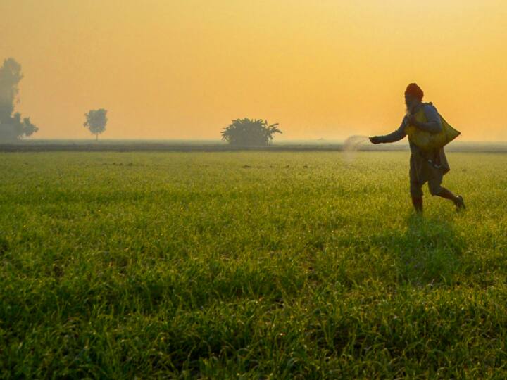 Weather Today in Punjab: मौसम ने बढ़ाई परेशानी, IMD की किसानों की अपील- 'अभी न करें गेंहू की सिंचाई' Sudden change in weather increased farmers problems, IMD said Don't irrigate wheat now Weather Today in Punjab: मौसम ने बढ़ाई परेशानी, IMD की किसानों की अपील- 'अभी न करें गेंहू की सिंचाई'