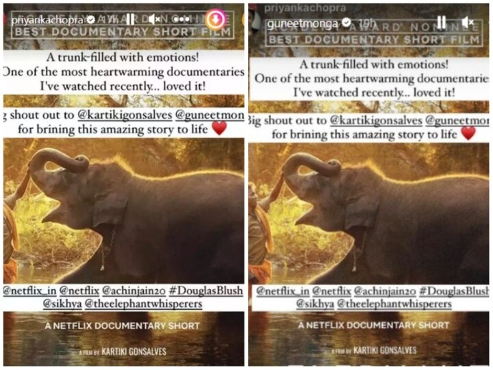 The Elephant Whisperers: प्रियंका चोपड़ा ने किया 'द एलिफेंट व्हिस्पर्स का रिव्यू, बताया कैसी है ऑस्कर नॉमिनेटेड डॉक्यूमेंट्री