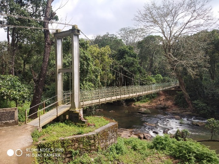 Travel With ABP Kerala Nelliyampathy Tourist Places Summer Tour Places to See in Nelliampathi Nelliyampathy Tourist Places: சுற்றுலா பயணிகளை கவர்ந்திழுக்கும் நெல்லியம்பதி; தவற விடக்கூடாத இடங்கள் என்னென்ன?