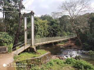 சுற்றுலா பயணிகளுக்கு ஆச்சரிய அனுபவங்களை தரும் நெல்லியம்பதி - வாங்க உள்ளே போய் பார்க்கலாம்