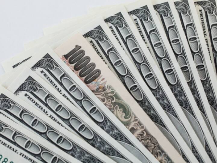 इसके अलावा देश की ऑफिशियल वेबसाइट बन गई है. जिसमें वहां के झंडे और बाकी सारी चीजों के बारे में बताया गया है. कैलासाकी कैलासियन डॉलर नाम की करेंसी भी है.