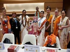 'Won't Consider Its Inputs': UN Panel Says Nithyananda's 'Kailasa' Participated As NGO