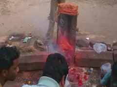 मन्नत पूरी होने से खुश भक्त ने दानव को चढ़ाएं एक पिकअप नारियल, इस धाम में नहीं होती देवता की पूजा