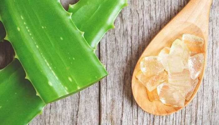 એલોવેરા જેલ અને ઈંડાની સફેદી મિક્સ કરીને પેસ્ટ બનાવો અને ચહેરા પર હળવા હાથે મસાજ કરો. એલોવેરા જેલ એ વિટામિન E નો સ્ત્રોત છે જે ત્વચા માટે બૂસ્ટર છે અને ઈંડાની સફેદી સાથે ઉત્તમ તેનં સંયોજન બને  છે. એલોવેરા તેના એન્ટીઑકિસડન્ટો અને સોજા વિરોધી તત્વો સાથે શુષ્ક ત્વચાને પણ સાજા કરે છે.