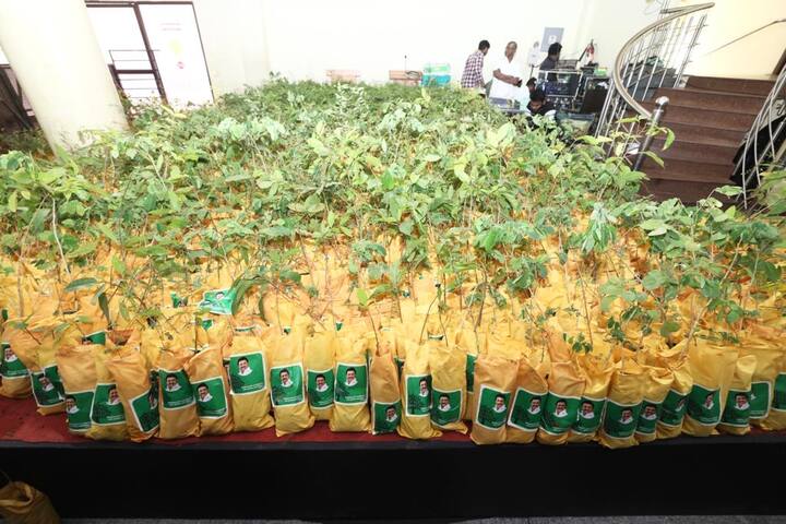 He also urged the cadre to plant and nurture the sapling for a better tomorrow (Credit: Twitter/@CMOTamilnadu)