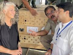 जो देश में लाया चीते, घट गया उसी अधिकारी का कार्यकाल, जानें क्यों हुआ ऐसा