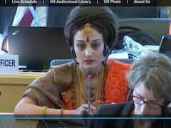 ‘United States Of Kailasa’ Makes It To UN Event, Talks About Nithyanada’s ‘Persecution’