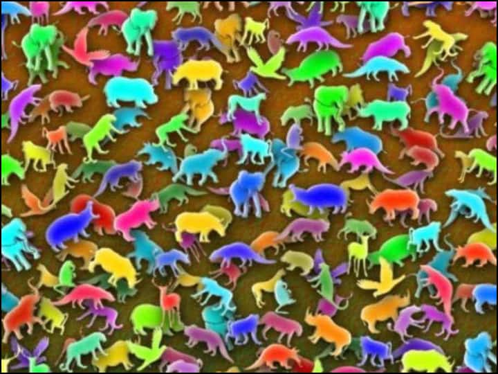 Optical Illusion: जानवरों के बीच छिपे जिराफ को ढूंढना है टेढ़ी खीर, क्या आप 12 सेकंड्स में ढूंढ सकते हैं? find the hidden giraffe in the picture viral Optical Illusion Optical Illusion: जानवरों के बीच छिपे जिराफ को ढूंढना है टेढ़ी खीर, क्या आप 12 सेकंड्स में ढूंढ सकते हैं?