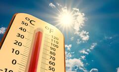 Heatwave Guidelines: তীব্র দাবদাহে পুড়বে গোটা দেশ, কী করবেন, কী করবেন না, জানাল কেন্দ্র