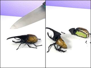 Video: केक है या फेक... पेस्ट्री आर्टिस्ट ने बनाया हूबहू कीड़े जैसे दिखने वाला केक