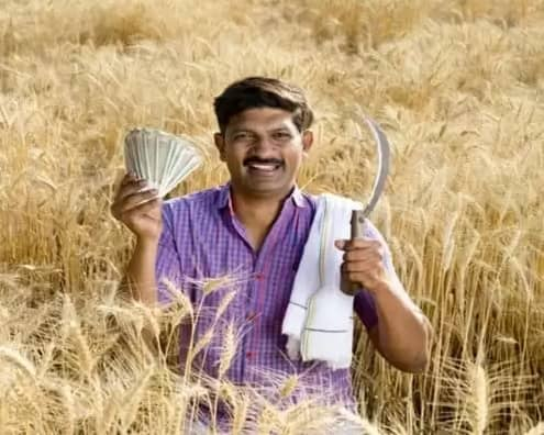 NAMO Shetkari Yojana NAMO Shetkari Maha Sanman Nidhi Maharashtra Devendra Fadanvis announces crop insurance maharashtra marathi news update NAMO Shetkari Yojana: पीएम किसानच्या धर्तीवर राज्यात नमो शेतकरी योजना, शेतकऱ्यांच्या खात्यावर सहा हजार रुपये, एका रुपयात पीक विमा