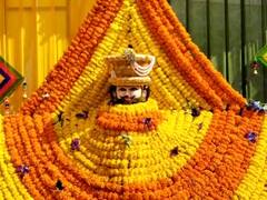 In Pics: भरतपुर में फागोत्सव पर दिखा उत्साह, श्याम बाबा को लगाई गई हल्दी और मेहंदी, भजनों पर जमकर किया नृत्य