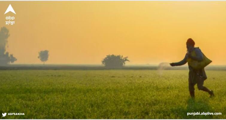 sudden change in weather increased farmers problems imd said dont irrigate wheat now Weather Today in Punjab: ਮੌਸਮ ਨੇ ਵਧਾਈ ਪਰੇਸ਼ਾਨੀ, IMD ਦੀ ਕਿਸਾਨਾਂ ਨੂੰ ਅਪੀਲ - 'ਹੁਣ ਨਾ ਕਰੋ ਕਣਕ ਦੀ ਸਿੰਚਾਈ'