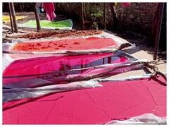 Photos: उदयपुर में वन विभाग ने की केमिकल फ्री होली की विशेष तैयारी, आदिवासी महिलाओं से बनवा रहा हर्बल गुलाल