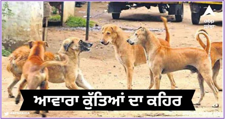 Stray dogs picked up the month old baby from the sleeping mother in the hospital and ate it ਆਵਾਰਾ ਕੁੱਤਿਆਂ ਨੇ ਹਸਪਤਾਲ 'ਚ ਸੁੱਤੀ ਮਾਂ ਕੋਲੋਂ ਮਹੀਨੇ ਦੇ ਬੱਚੇ ਨੂੰ ਚੁੱਕ ਕੇ ਨੋਚ-ਨੋਚ ਖਾਧਾ