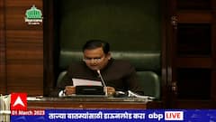 Rahul Narvekar on Sanjay Raut : राऊतांविरोधातील हक्कभंगावर 8 मार्चला निर्णय, 2 दिवसात चौकशी करु