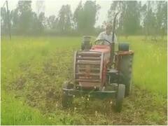 बिजनौर: लहलहाती फसलों को पशुओं ने किया बर्बाद, नाराज किसान ने ट्रैक्टर चलाकर उजाड़ दिया खेत