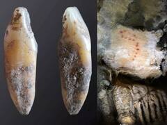 Researchers Discover Oldest Human Genome From Southern Spain: All You Need To Know