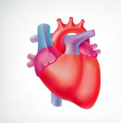 जल्दी सुबह उठने के ये हैं 7 फायदे जान जाएंगे, तो रोजाना समय पर उठ जाएंगे