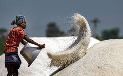 Iodized Salt: আয়োডিনযুক্ত নুন কতটা প্রয়োজন? সত্যিই কি গুণ রয়েছে?