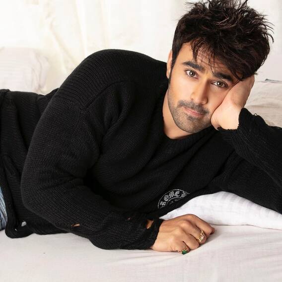 नागिन के माहिर के पास है ये डिग्री