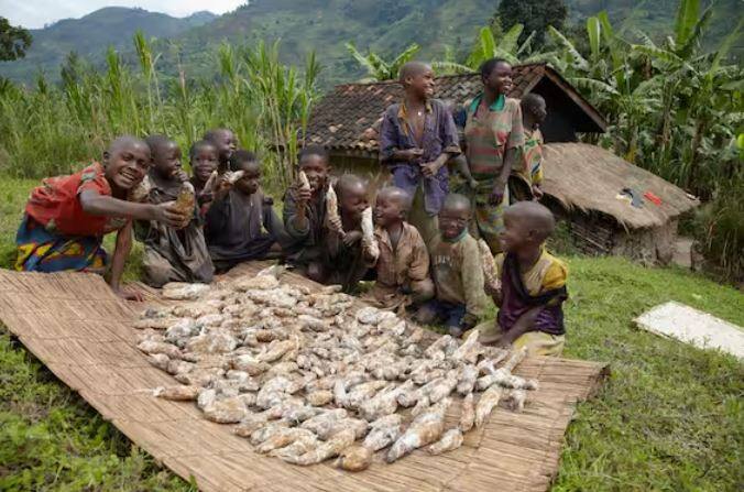 ਦੁਨੀਆ ਦੇ ਗਰੀਬ ਦੇਸ਼ਾਂ 'ਚ ਬੁਰੂੰਡੀ ਪਹਿਲੇ ਨੰਬਰ 'ਤੇ ਆਉਂਦਾ ਹੈ। ਇਸ ਦੇਸ਼ ਵਿੱਚ ਲਗਭਗ 12 ਮਿਲੀਅਨ ਯਾਨੀ ਲਗਭਗ 1 ਕਰੋੜ 20 ਲੱਖ ਨਾਗਰਿਕ ਰਹਿੰਦੇ ਹਨ, ਜਿਨ੍ਹਾਂ ਵਿੱਚੋਂ 90 ਪ੍ਰਤੀਸ਼ਤ ਆਪਣੀ ਰੋਜ਼ੀ-ਰੋਟੀ ਲਈ ਖੇਤੀਬਾੜੀ 'ਤੇ ਨਿਰਭਰ ਹਨ। ਇੱਥੇ ਲੋਕਾਂ ਨੂੰ ਜ਼ਿੰਦਗੀ ਜਿਊਣ ਲਈ ਮੁੱਢਲੀਆਂ ਸਹੂਲਤਾਂ ਵੀ ਮੁਸ਼ਕਿਲ ਨਾਲ ਮਿਲਦੀਆਂ ਹਨ। ਇੱਥੇ ਪ੍ਰਤੀ ਵਿਅਕਤੀ ਆਮਦਨ ਭਾਵ GNI $686 ਹੈ।