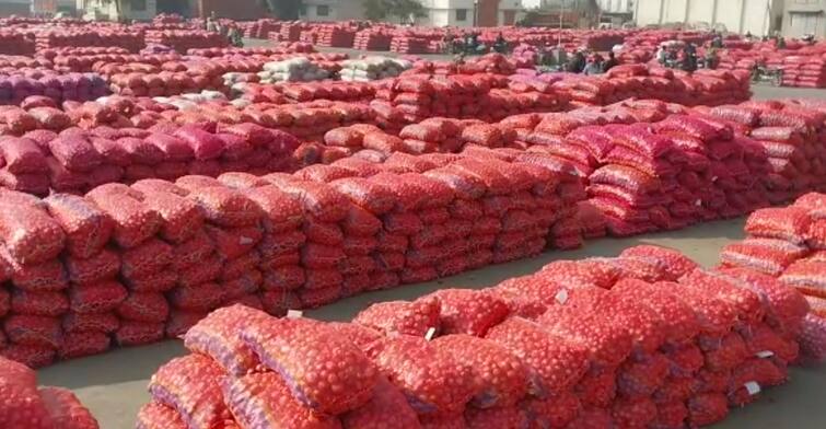 Rajkot: A farmer in Rajkot got only Rs 10 for 166 kg of onions Rajkot: રાજકોટમાં ડુંગળીના પકવતા ખેડૂતોને રોવાનો વારો આવ્યો, 166 કિલો ડુંગળીના માત્ર 10 રૂપિયા મળ્યા