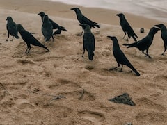 అబ్దుల్లాపూర్‌మెట్ ఘటన రిపీట్! గుట్ట దగ్గర్లో అస్థిపంజరం, బెంబేలెత్తించే ఘటన!