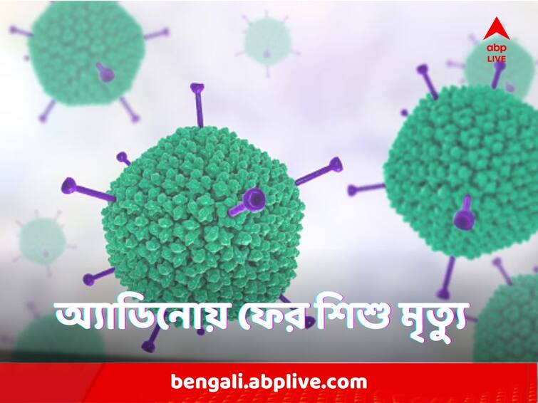 Adenovirus Scare west Bengal Kolkata one more child death in adenovirus 47th in last two months AdenoVirus Death : অ্যাডিনো-আতঙ্কের মাঝে ফের শিশু মৃত্যু, ২ মাসে রাজ্যে ৪৭ জন শিশুর মৃত্যু