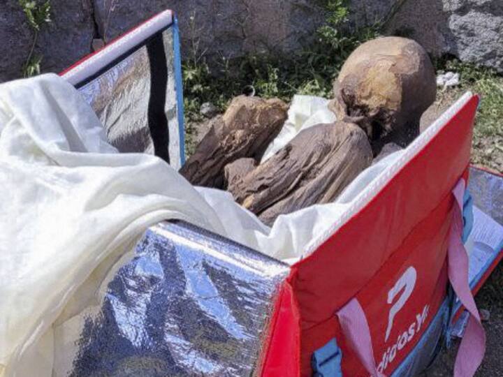Shocking Peru Delivery Man Found With 800-Year-Old Mummy In Bag claims It's My Girlfriend Peru Delivery Man: 30 ఏళ్లుగా ఒకే రూమ్‌లో మమ్మీతో, గర్ల్‌ఫ్రెండ్ అని చెబుతున్న యువకుడు