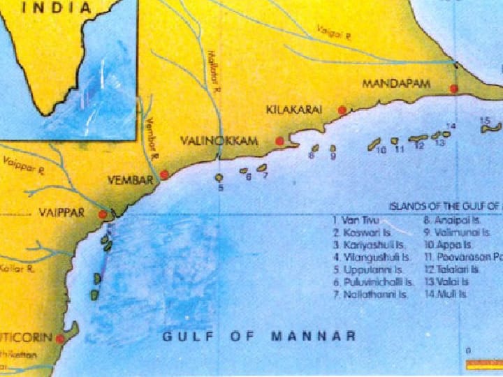 தூத்துக்குடி: கொரோனாவிற்கு பின்னர் கடற்கரை பகுதிகளில் கடல் ஆமைகள் முட்டையிடுவது அதிகரிப்பு