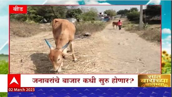 Saat Barachya Batmya : 7/12 : हरभरा खरेदीसाठी नोंदणीला सुरुवात ते ग्रामीण भागातील अर्थकारण मंदावलं