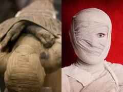 Viral News: 800 ਸਾਲ ਪੁਰਾਣੀ ਮਮੀ ਨੂੰ ਬਣਾਇਆ ਗਰਲਫਰੈਂਡ, ਉਸ ਨਾਲ ਬੈੱਡ 'ਤੇ ਸੌਣ ਲੱਗਾ ਆਦਮੀ! ਲਾਸ਼ ਨਾਲ ਸਬੰਧਤ ਸੱਚਾਈ ਸਾਹਮਣੇ ਆਉਂਦੇ ਹੀ ਉੱਡ ਗਏ ਹੋਸ਼