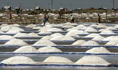 Iodized Salt: আয়োডিনযুক্ত নুন কতটা প্রয়োজন? সত্যিই কি গুণ রয়েছে?