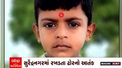 Surendranagar: નાના ટીમલા ગામમાં સાંઢની અડફેટે બાળકનું મોત