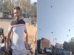 Bhopal Man Who Can Imitate Bird Calls Fills Up Sky With Crows: WATCH