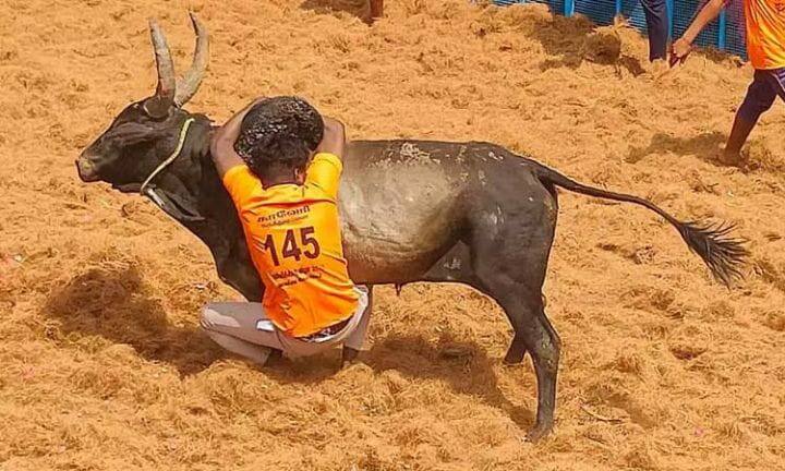 முதல்வர் ஸ்டாலின் பிறந்தநாளை முன்னிட்டு ஜல்லிக்கட்டு - சீறிப்பாய்ந்த காளைகளை அடக்கிய காளையர்கள்