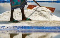 Iodized Salt: আয়োডিনযুক্ত নুন কতটা প্রয়োজন? সত্যিই কি গুণ রয়েছে?