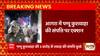 UP के आगरा से बड़ी खबर, पप्पू कुशवाहा की संपत्ति पर कार्रवाई, करोड़ों की संपत्ति हुई कुर्क