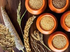 दुर्ग में बनने जा रहा है हाईटेक मिलेट कैफे, हरियाली के बीच लोग ले सकेंगे कैफे का आनंद