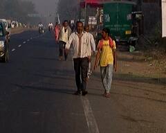 Holi 2023: જય રણછોડના નારા સાથે ઉભરાયા ડાકોરના માર્ગો, જુઓ તસવીરો