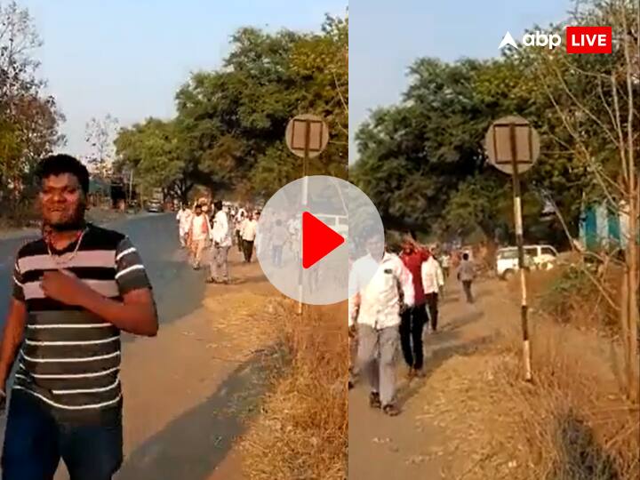 Bees Attack Wedding Procession in Maharashtras Due To Loud DJ Music Video Viral Watch: महाराष्ट्र में DJ की तेज आवाज से भड़कीं मधुमक्खियां, बारातियों पर किया हमला, 250 से ज्यादा लोग हुए घायल