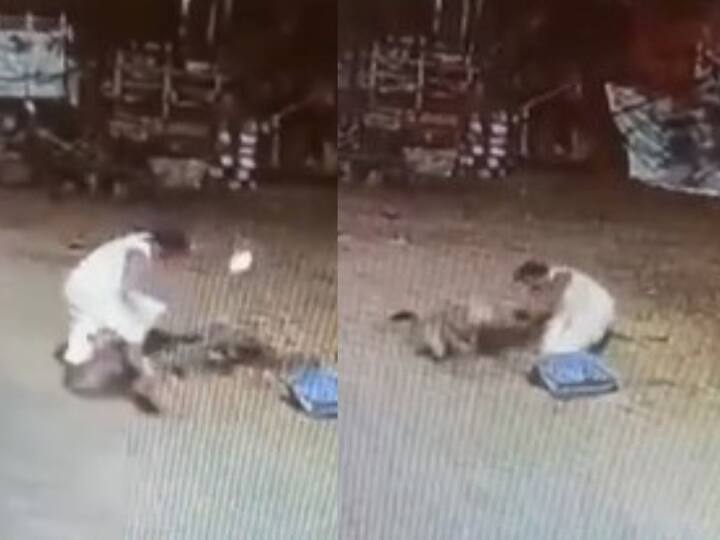 Nirmal Dog Attack Basara MPP Husband Injured in Attack By Stray Dogs Nirmal Dog Attack: తెలంగాణలో ఆగని కుక్కల దాడి -  ఎంపీపీ భర్తను కరుస్తుండగా సీసీటీవిలో రికార్డైన దృశ్యాలు