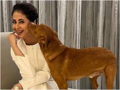 Urmila Marriage Anniversary: प्यार के लिए लांघ दी थी धर्म की दीवार, कश्मीरी बिजनेसमैन की शरीक-ए-हयात कैसे बनीं रंगीला गर्ल?