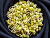 Sprouts Benefits: சத்துக்கள் நிறைந்த முளைக்கட்டிய பயறின் அற்புத நன்மைகள்!