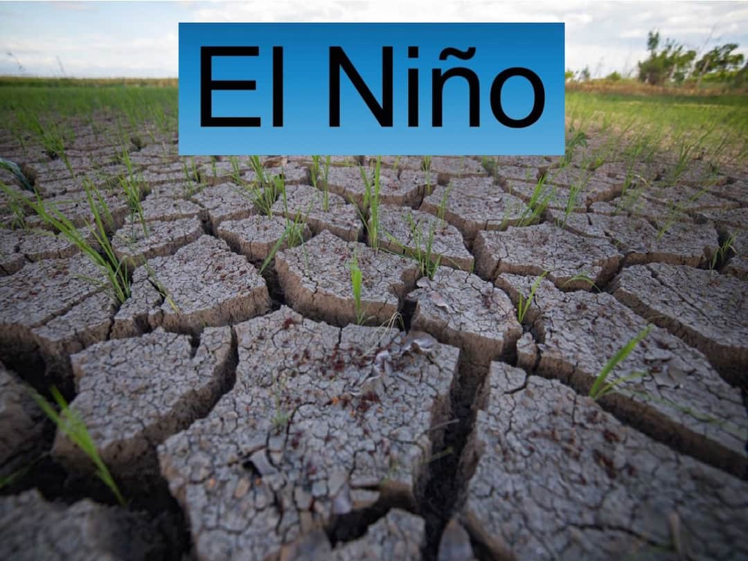 El Nino another problem for stock market investors Know insiders say El Nino: మార్కెట్‌ను మడతెట్టేస్తున్న ఎల్‌ నినో - ఏయే రంగాలపై ఎక్కువ ప్రభావం?